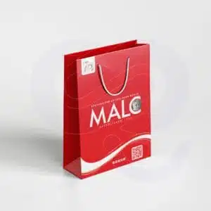 Customize paper bag premium corporate gift with logo branding by CGS