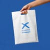 Custom non woven bag with company logo from CGS for corporate gifts